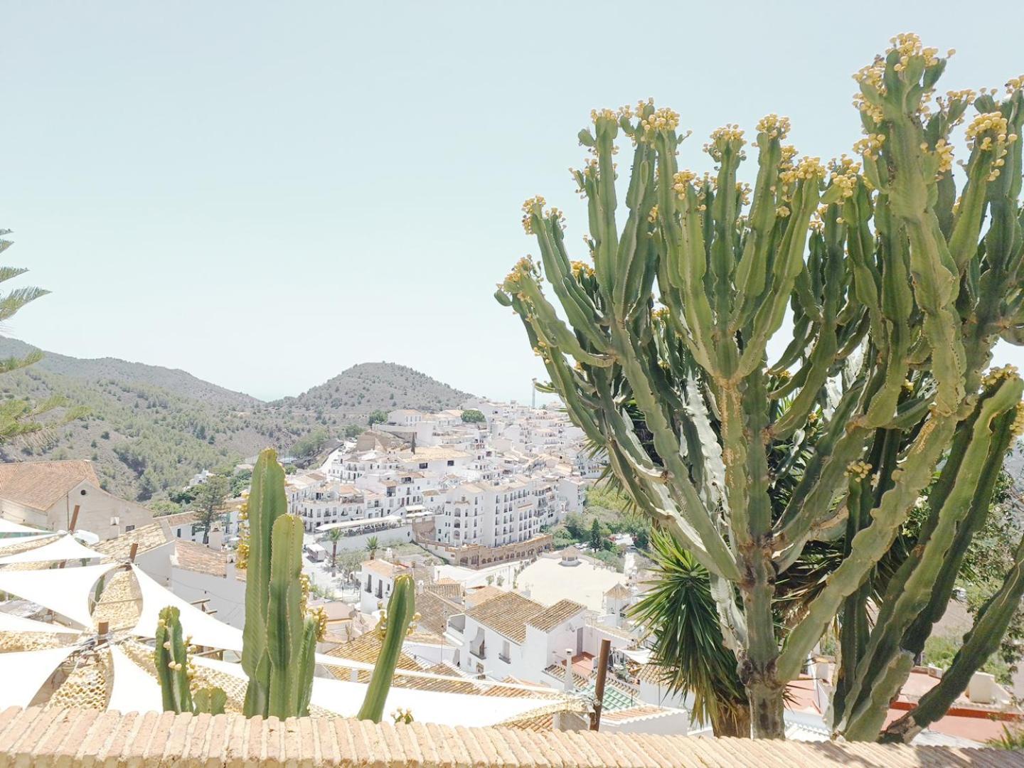 Las Pizarrillas: tu hogar en este blanco pueblo Frigiliana Exterior foto