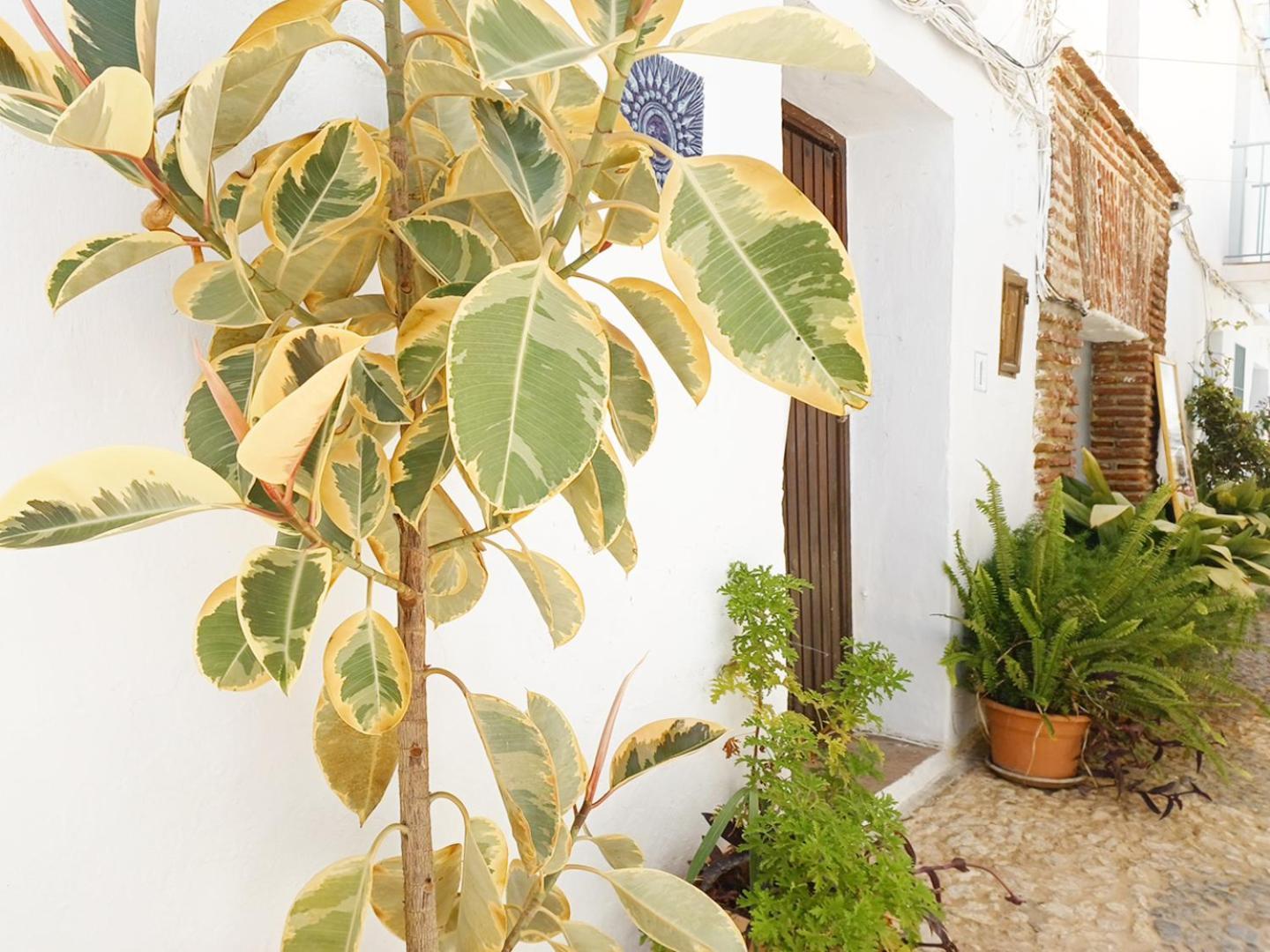 Las Pizarrillas: tu hogar en este blanco pueblo Frigiliana Exterior foto